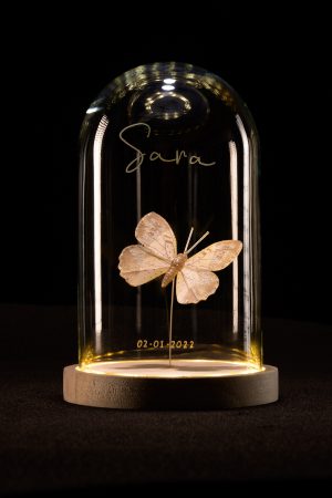 Glazen LED stolp met vlindertje Champagne